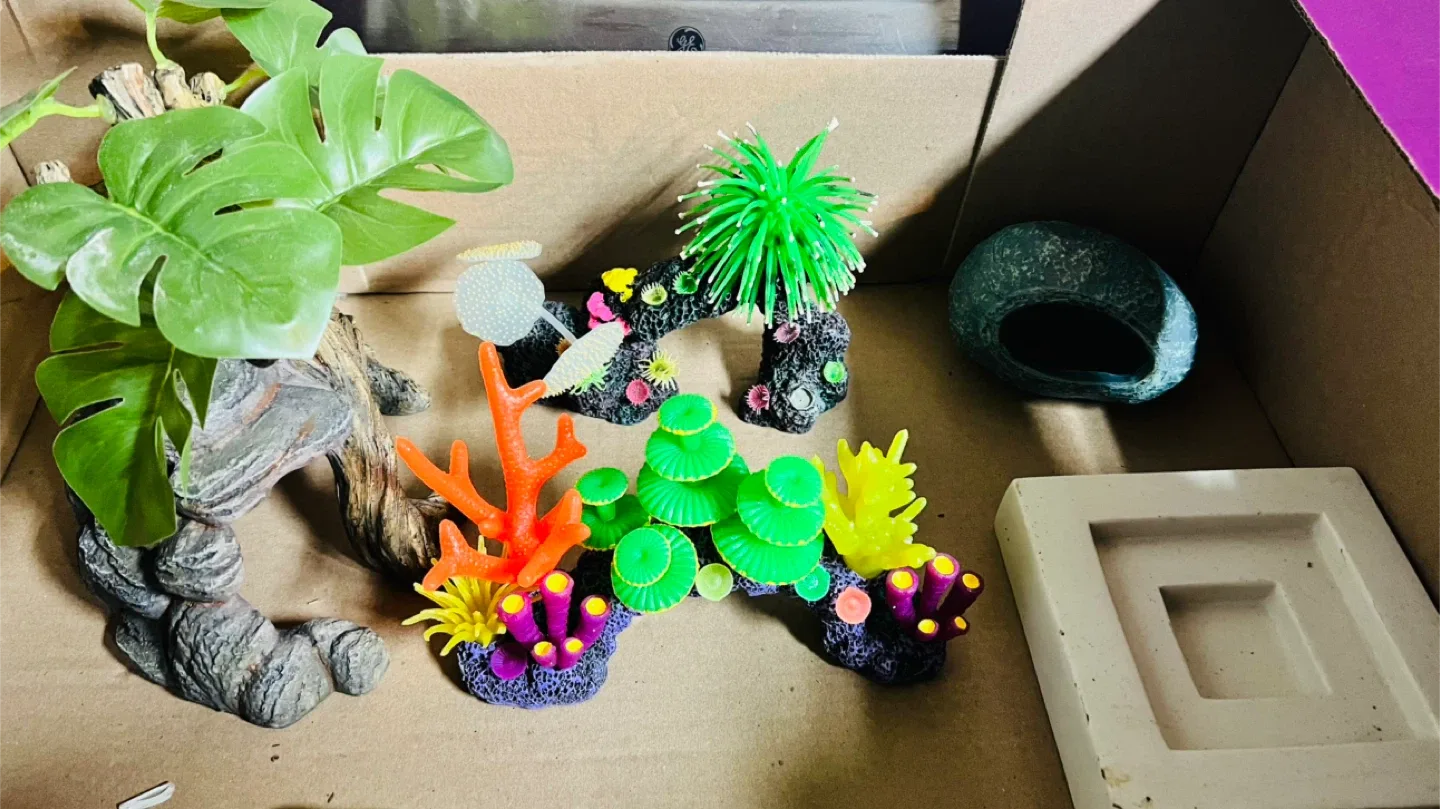 Aquarium Decorations