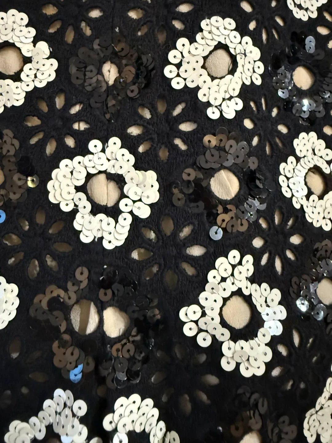 Huishan Zhang Sequin Embellished Shorts image indicator(4)