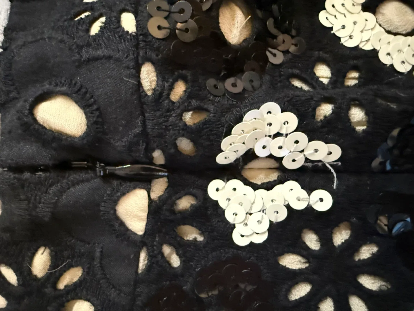 Huishan Zhang Sequin Embellished Shorts image indicator(5)