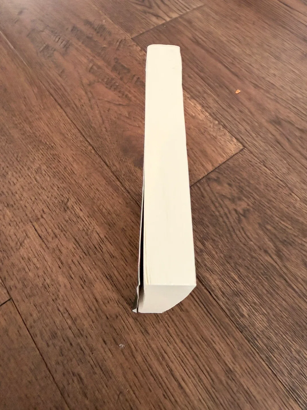 FREE with Purchase God of Malice by Rina Kent image indicator(2)