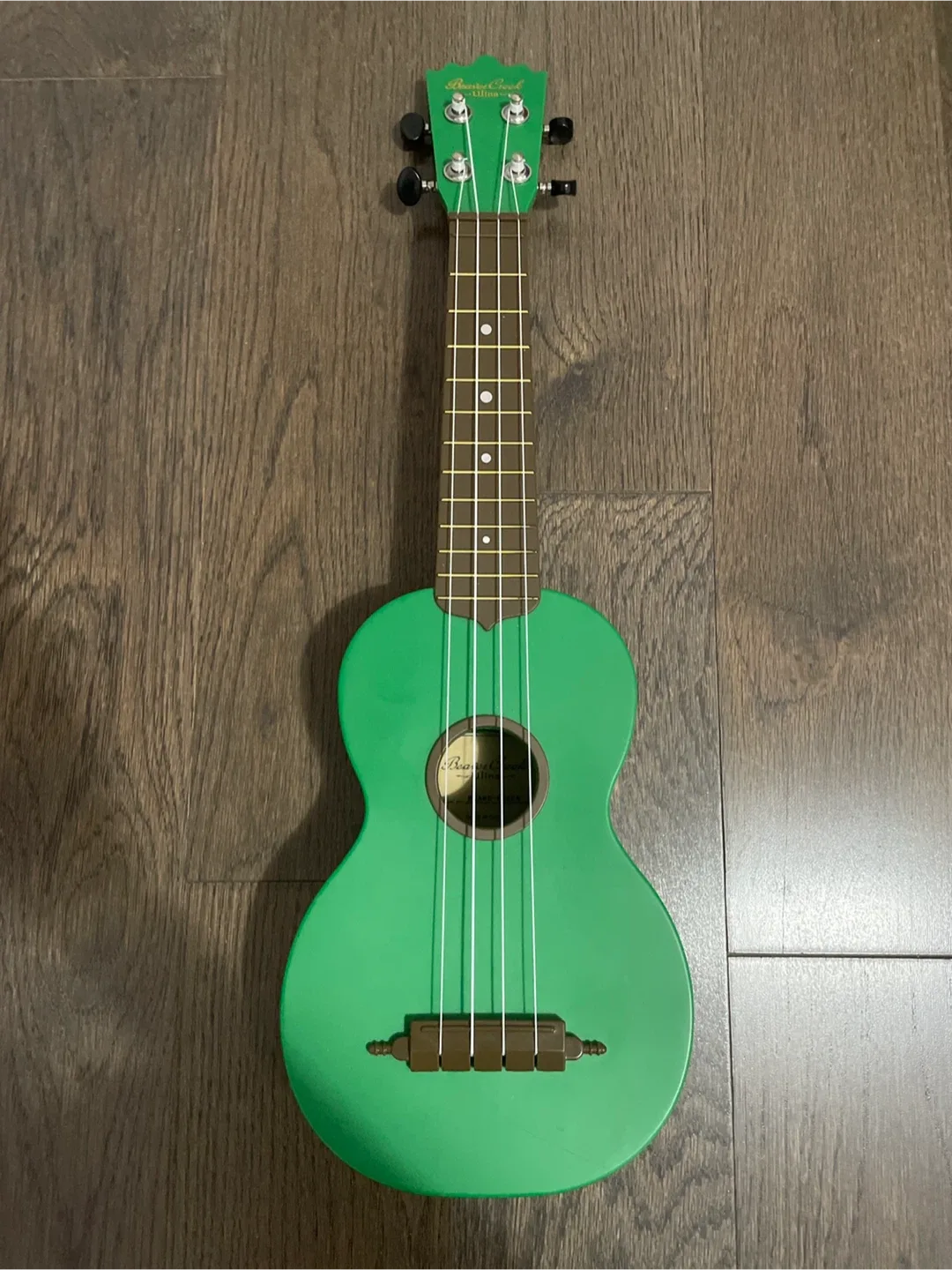 Beaver Creek Ukulele with Case