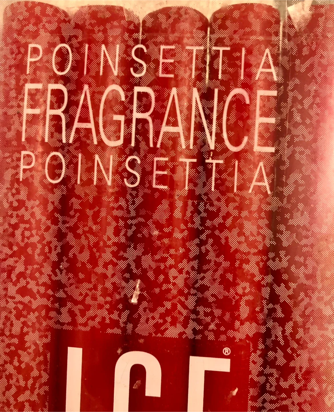 Poinsettia candles, NOEL 4 pcs, image indicator(2)