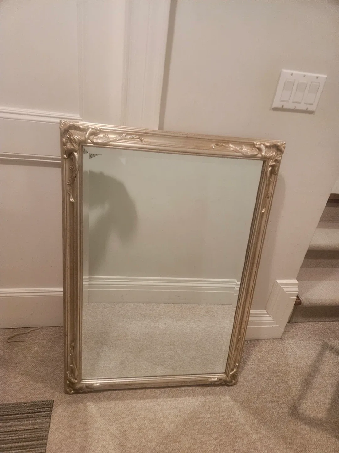 Carolina Mirror Company Ornate Mirror image indicator(4)