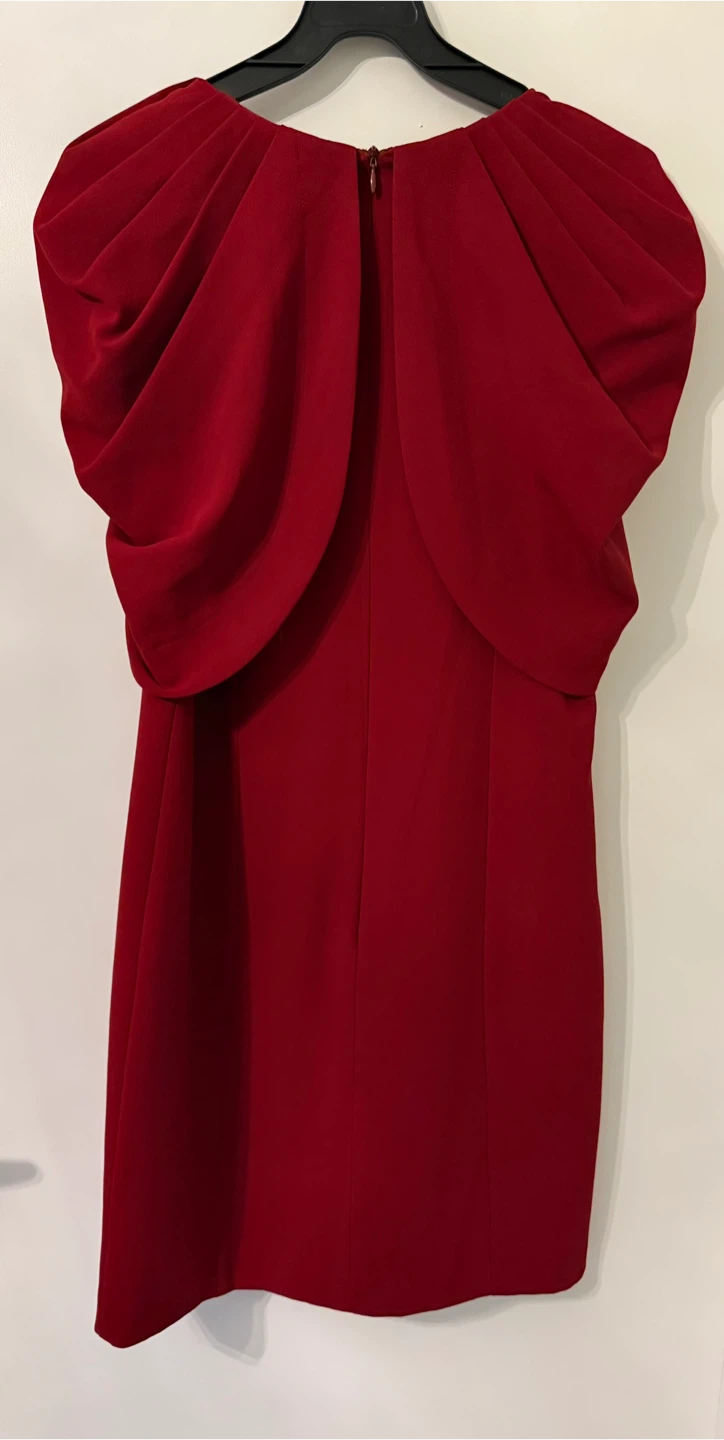 FLAS Red Dress - photo 2