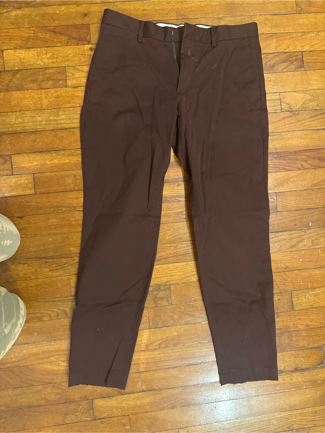 Brown Chinos Pants