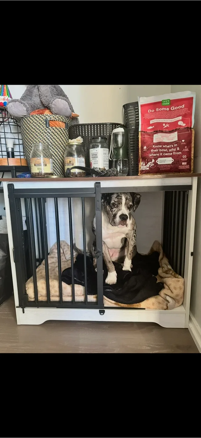 Dog Crate Furniture End Table image indicator(2)