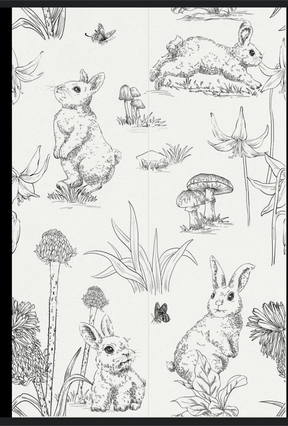 Black & White decorative rolls image indicator(6)