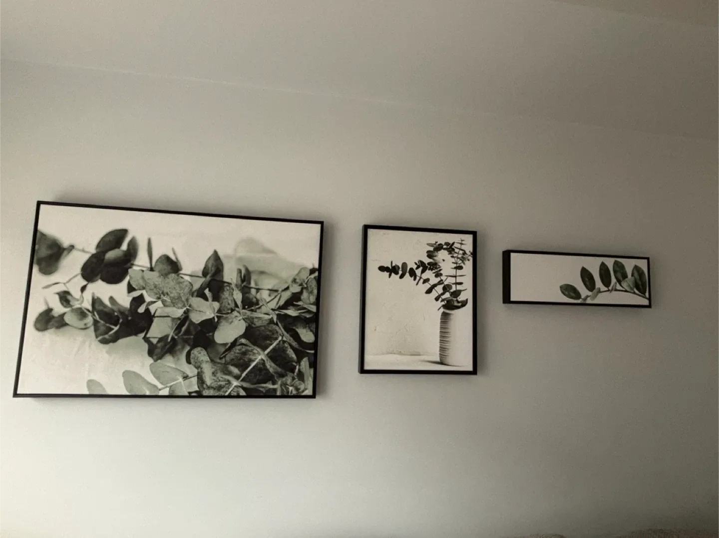 Framed Botanical Wall Art