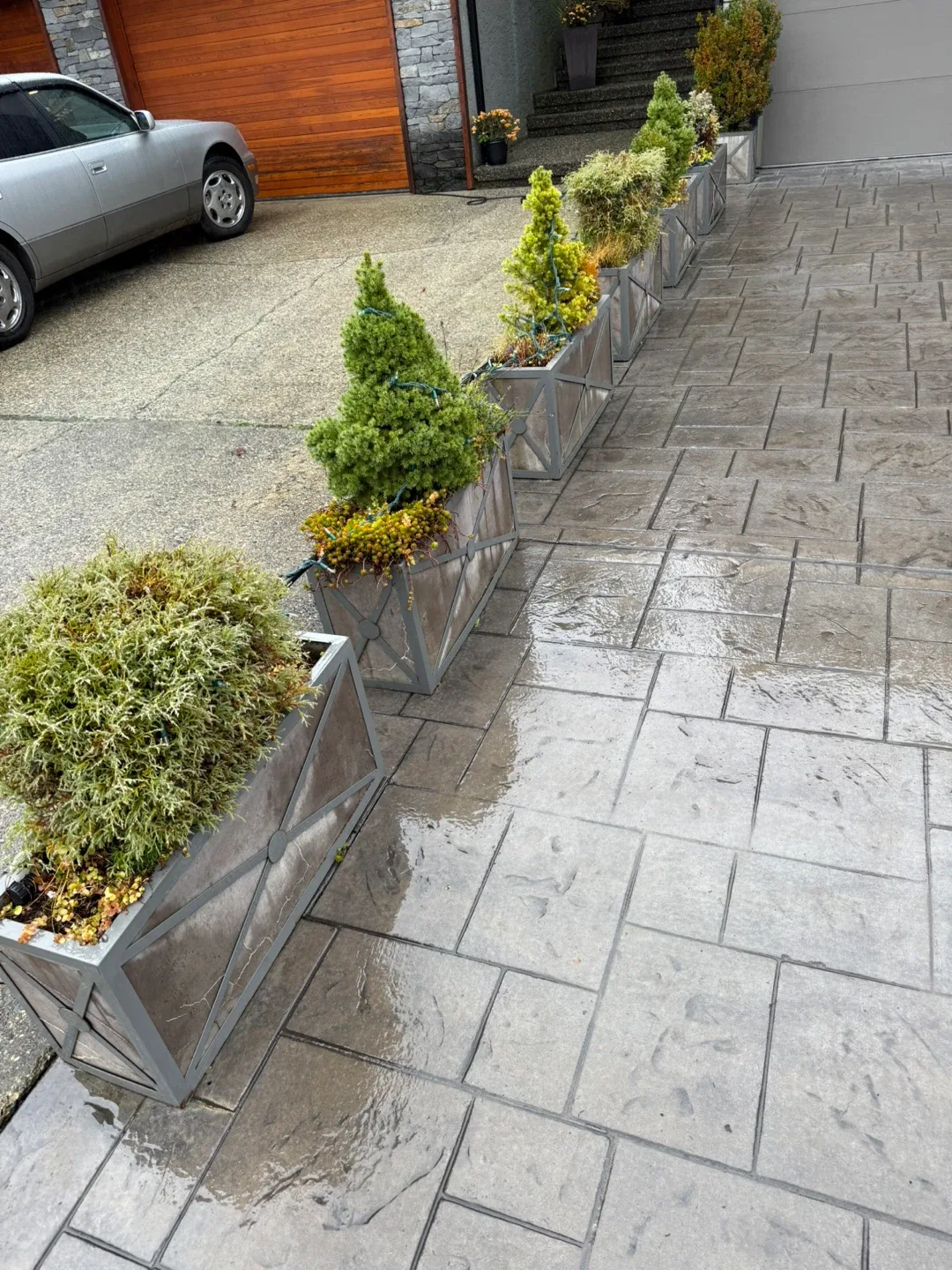 Concrete flower pots. Metal framed.