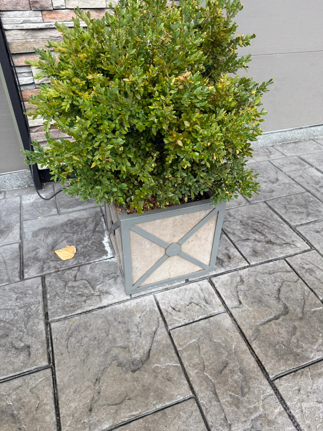 Concrete flower pots. Metal framed. - photo 2