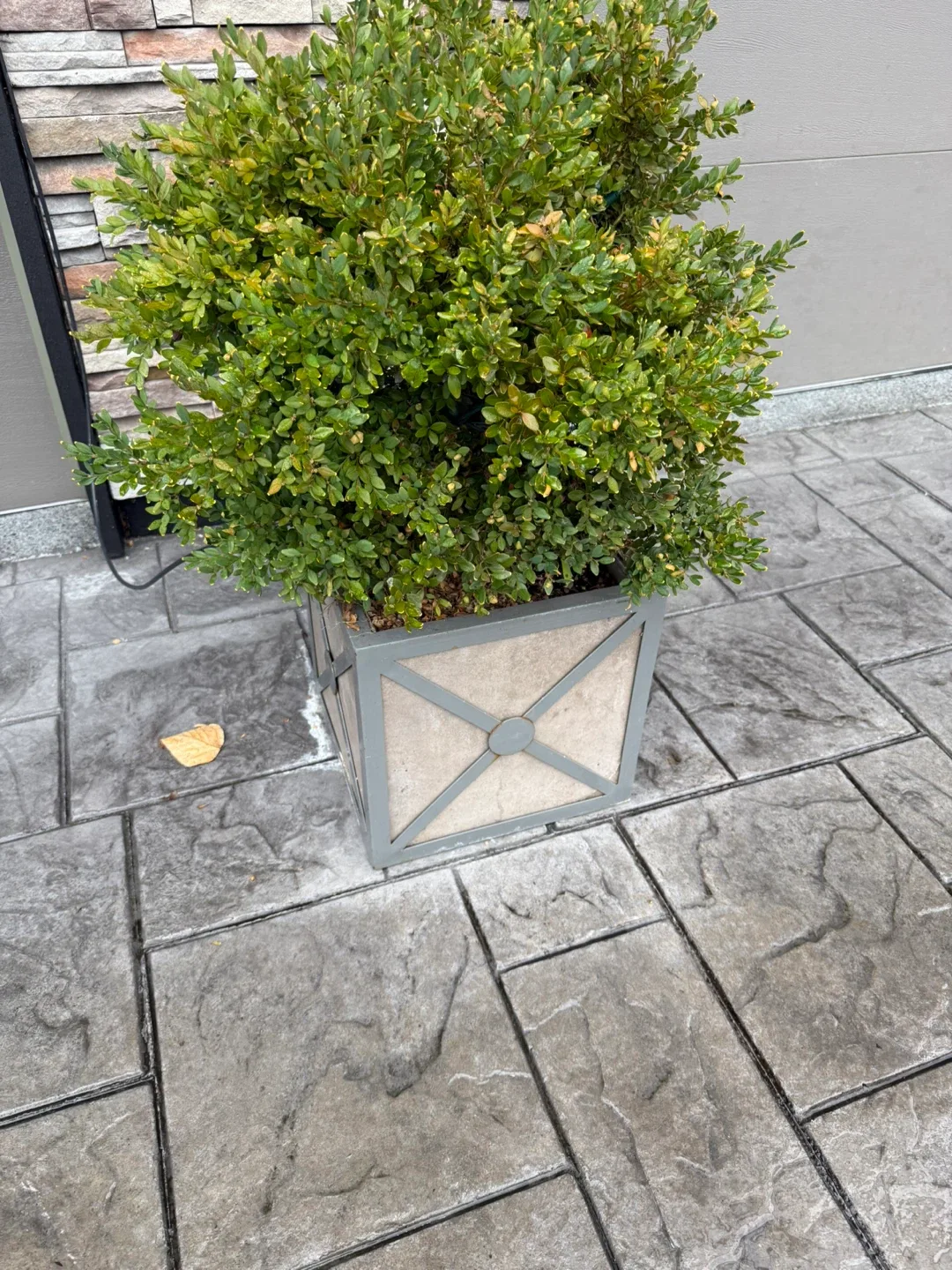 Concrete flower pots. Metal framed. image indicator(2)