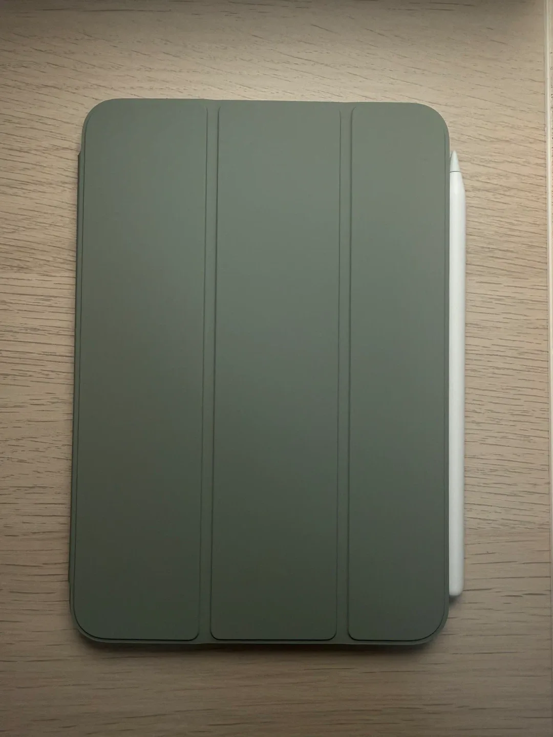 iPad mini 6 256GB Starlight + Pencil + Folio (sage) image indicator(4)