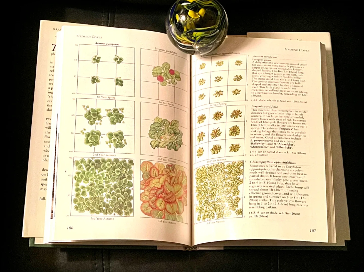 NEW The Plant Growth Planner by Caroline Boisset image indicator(2)