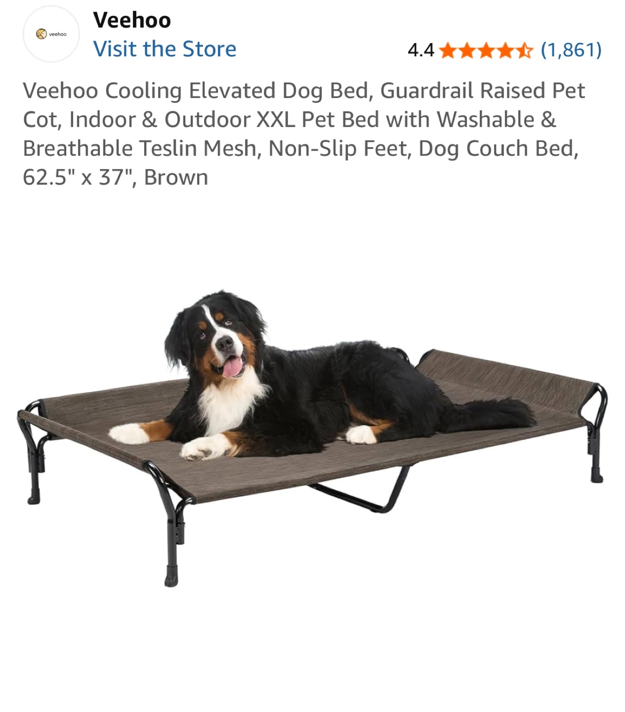 XL dog bed raised