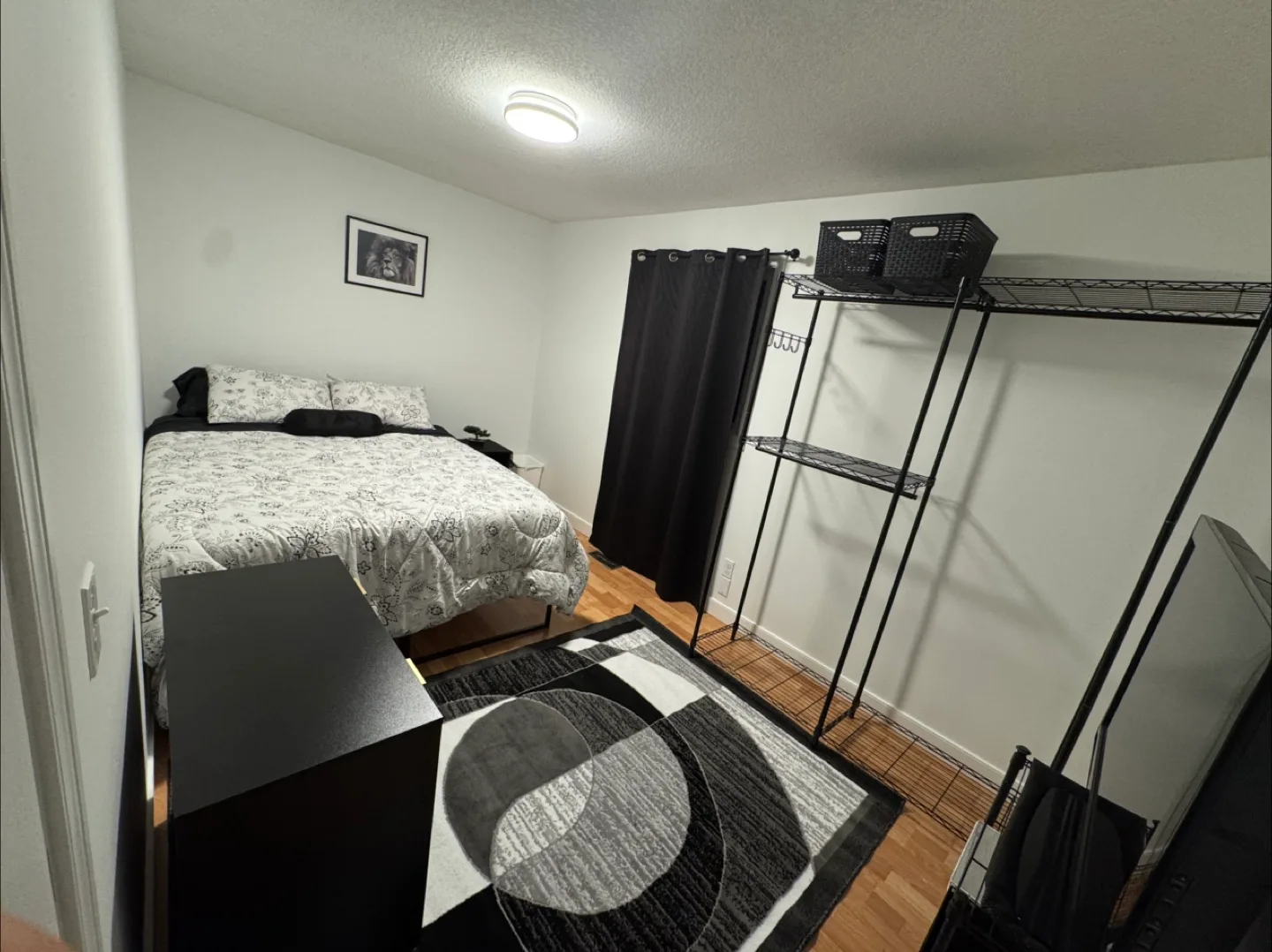 Busco roomie image indicator(4)