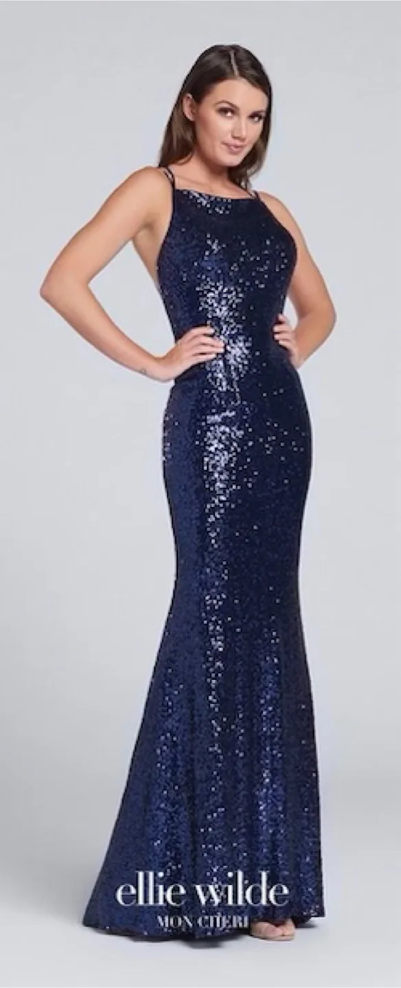 Prom/Formal Dress (Ellie Wilde) image indicator(4)