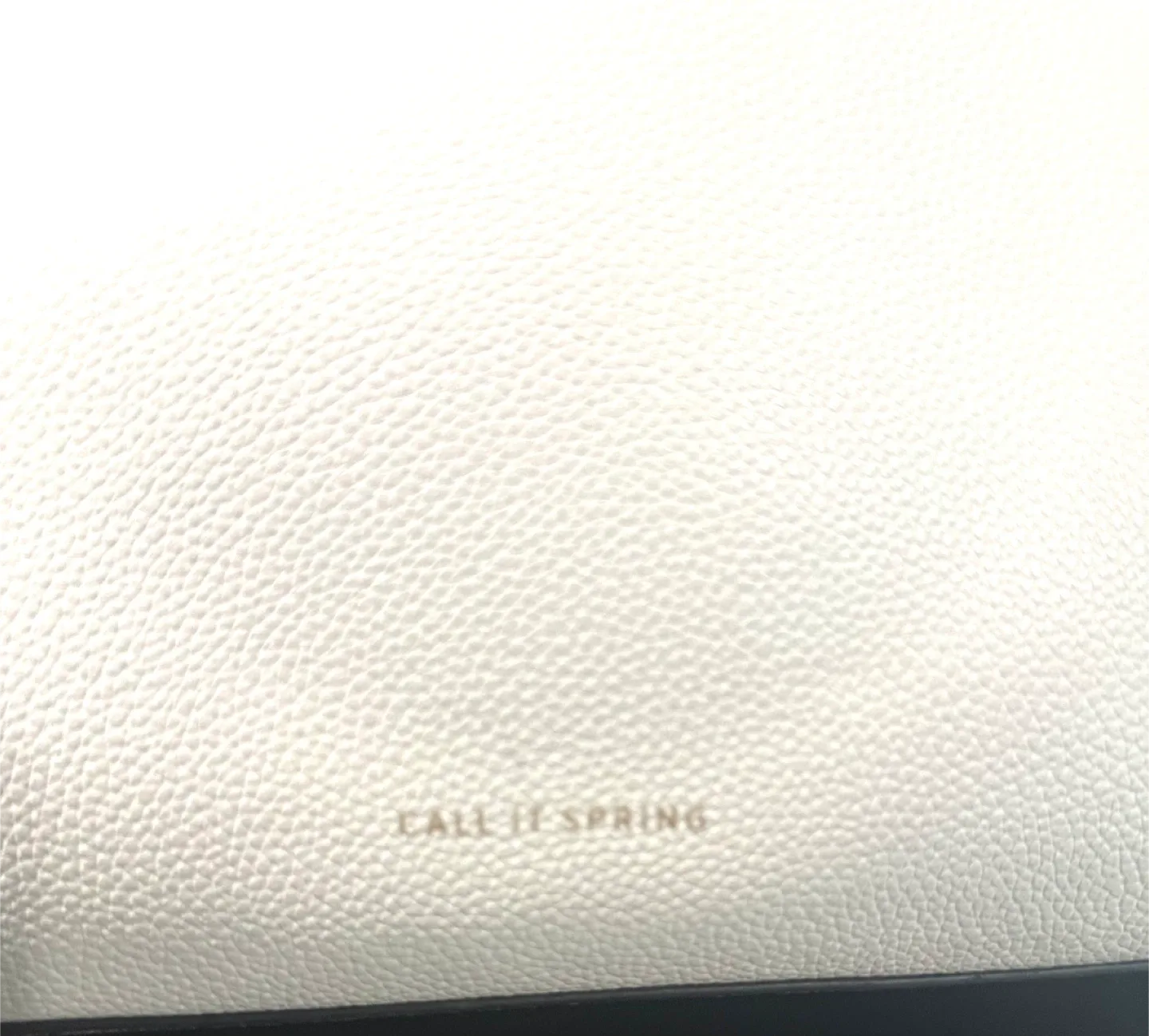 Call It Spring Satchel