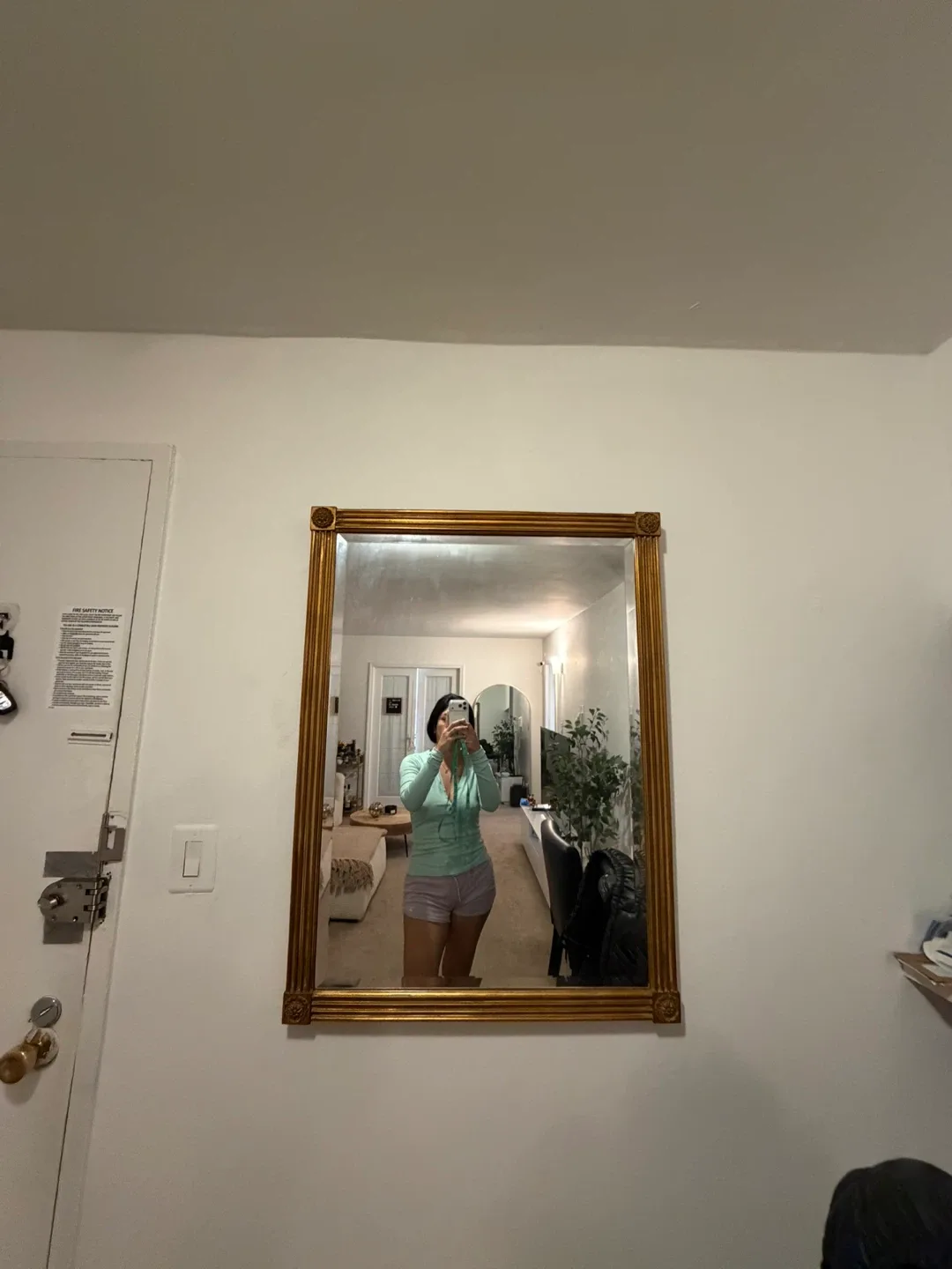 Mirror gold 40x30 image indicator(3)