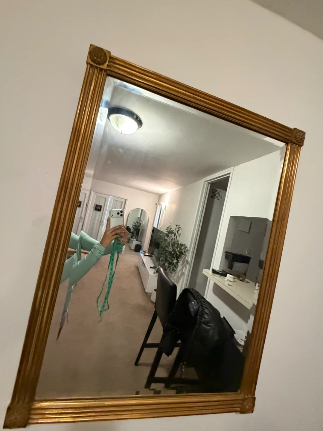 Mirror gold 40x30 image indicator(2)