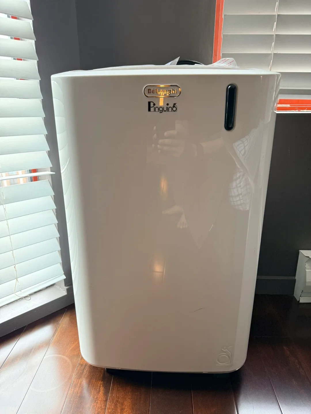 DeLonghi Pinguino PAC EM369SK-6AL Portable AC