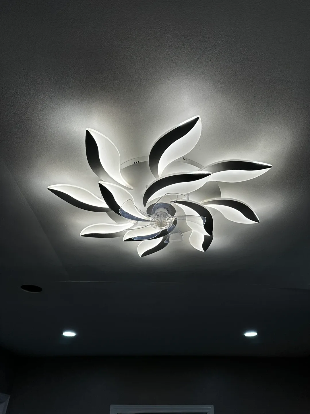 Electrical image indicator(5)