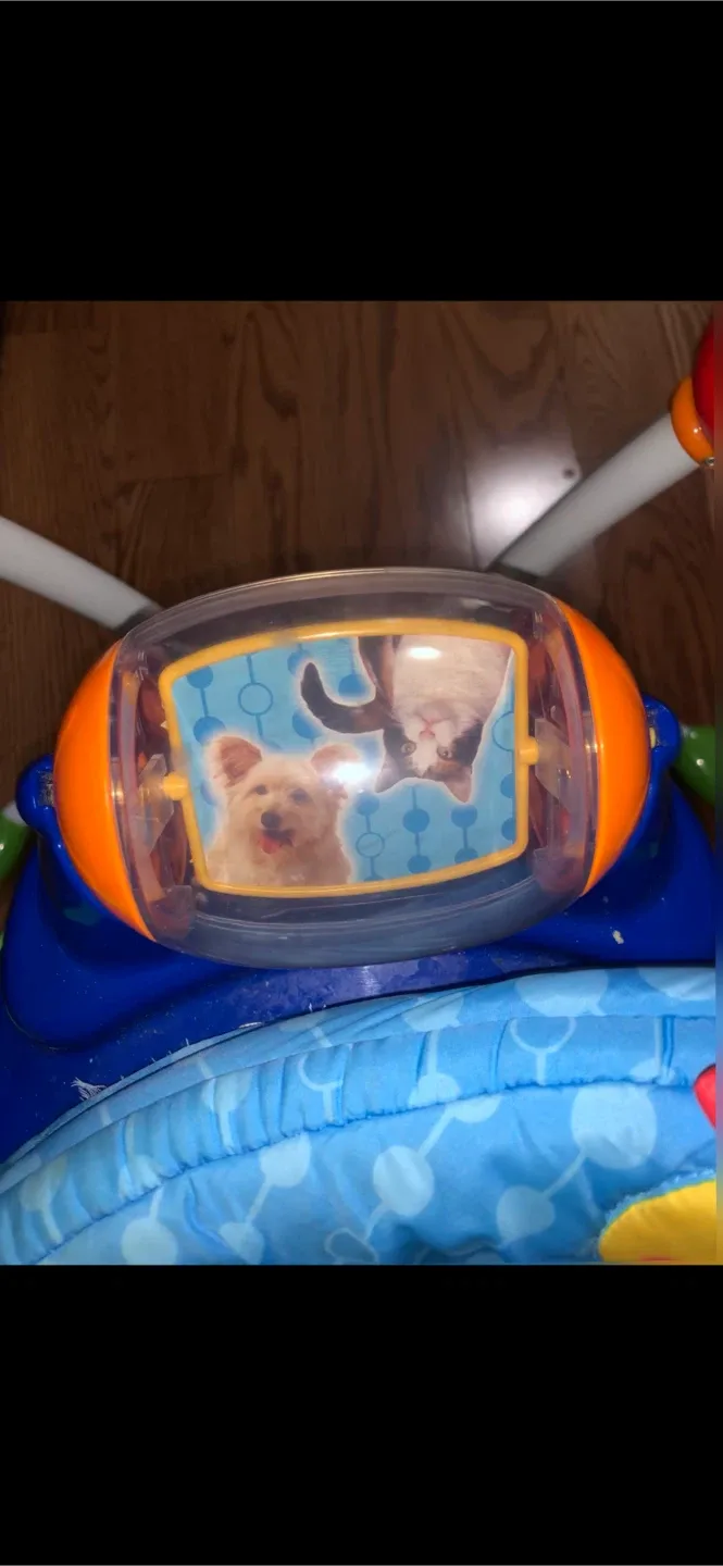 Play Bouncer with Toys and Lights for Babies image indicator(3)