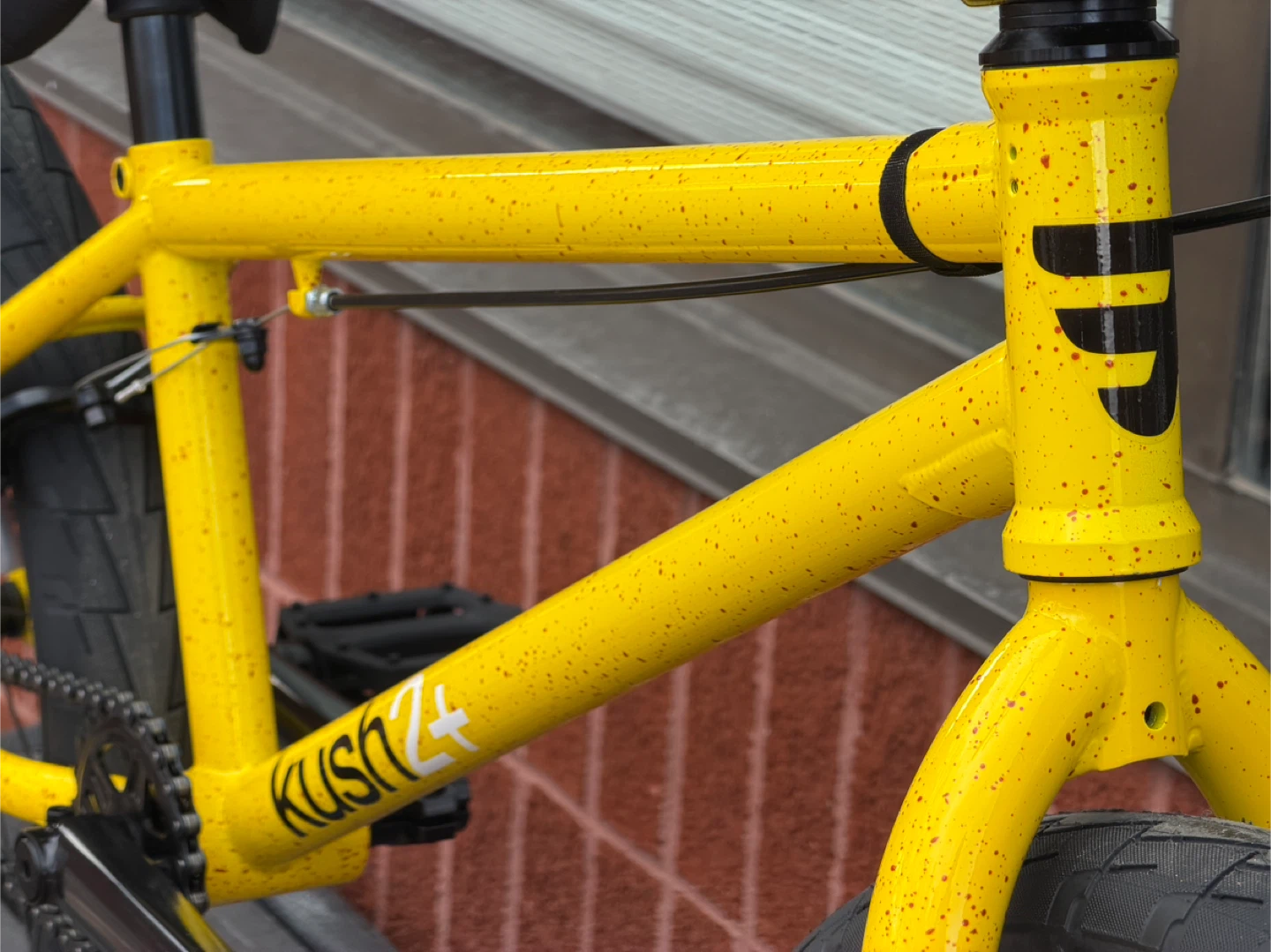 Brand new Mafia 20” BMX Bikes @ Harvester Bikes - photo 5