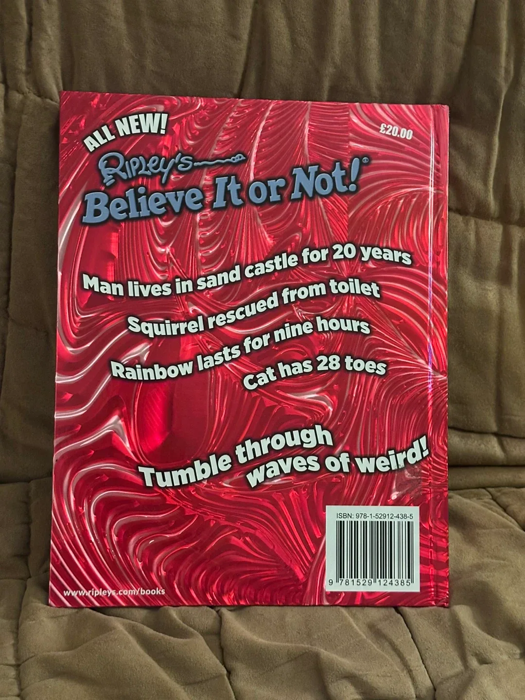Ripley's Believe It or Not! 2020 Book image indicator(2)