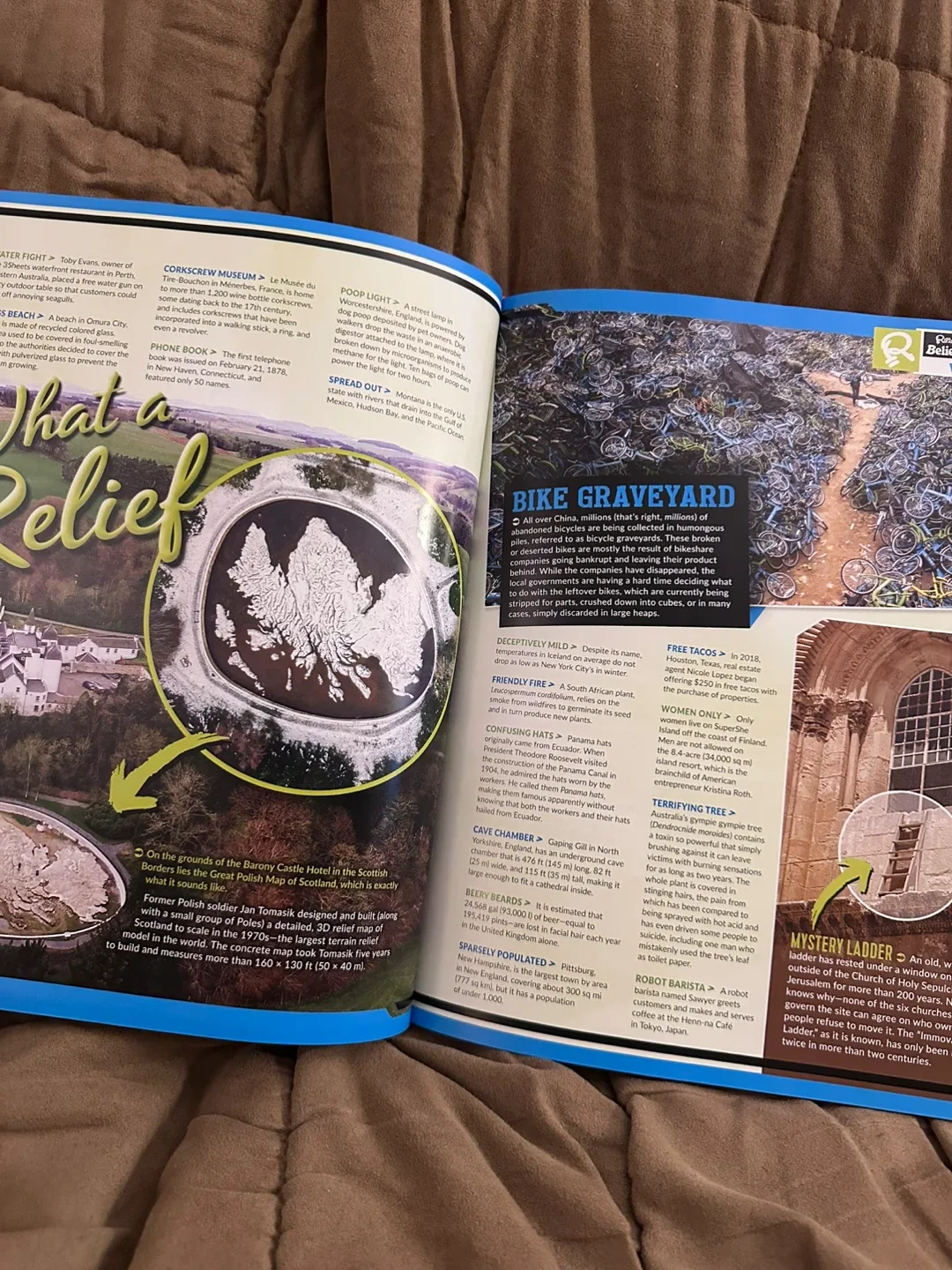 Ripley's Believe It or Not! 2020 Book image indicator(3)