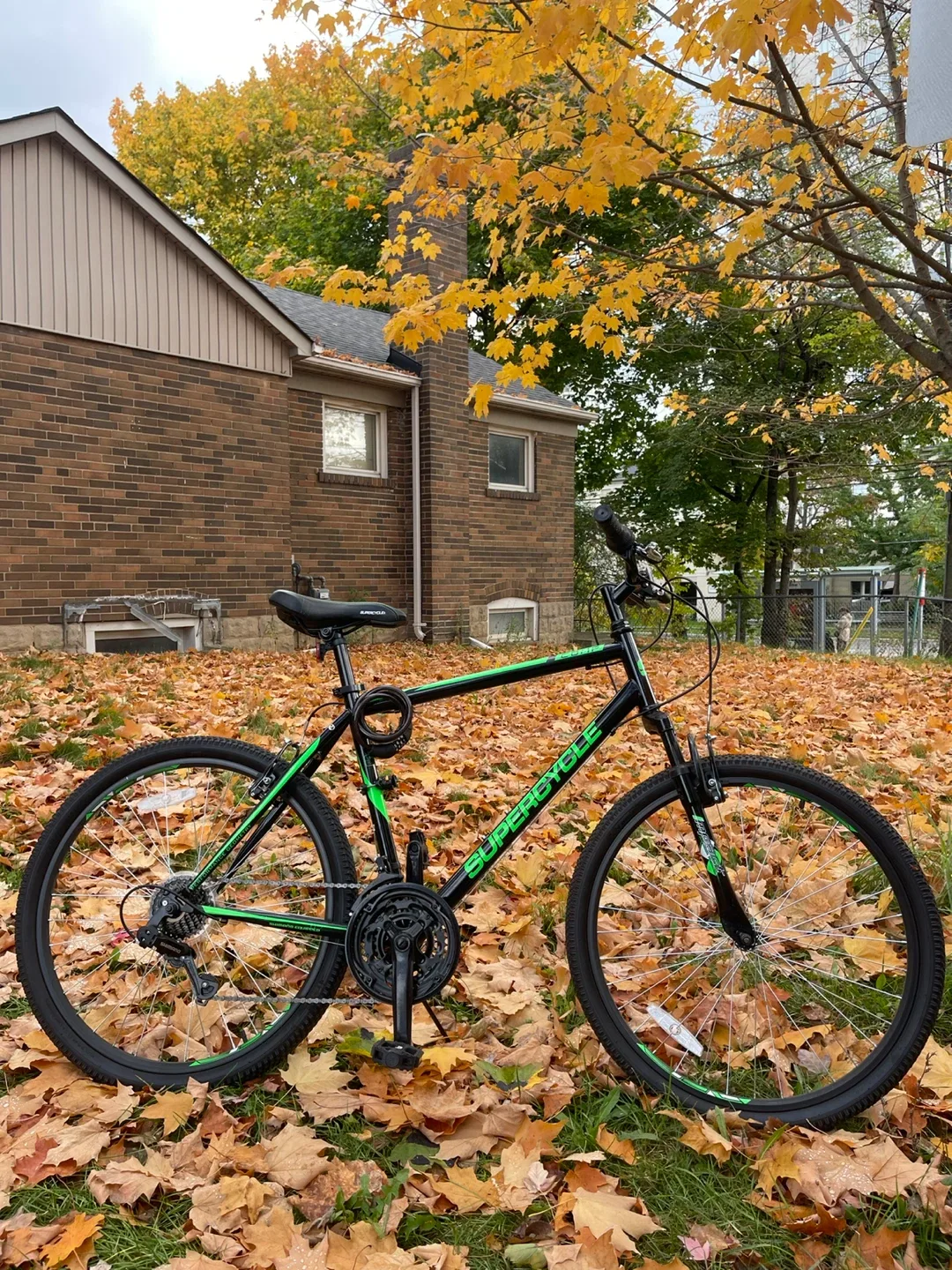 Supercycle Mountain Bike - Black & Green