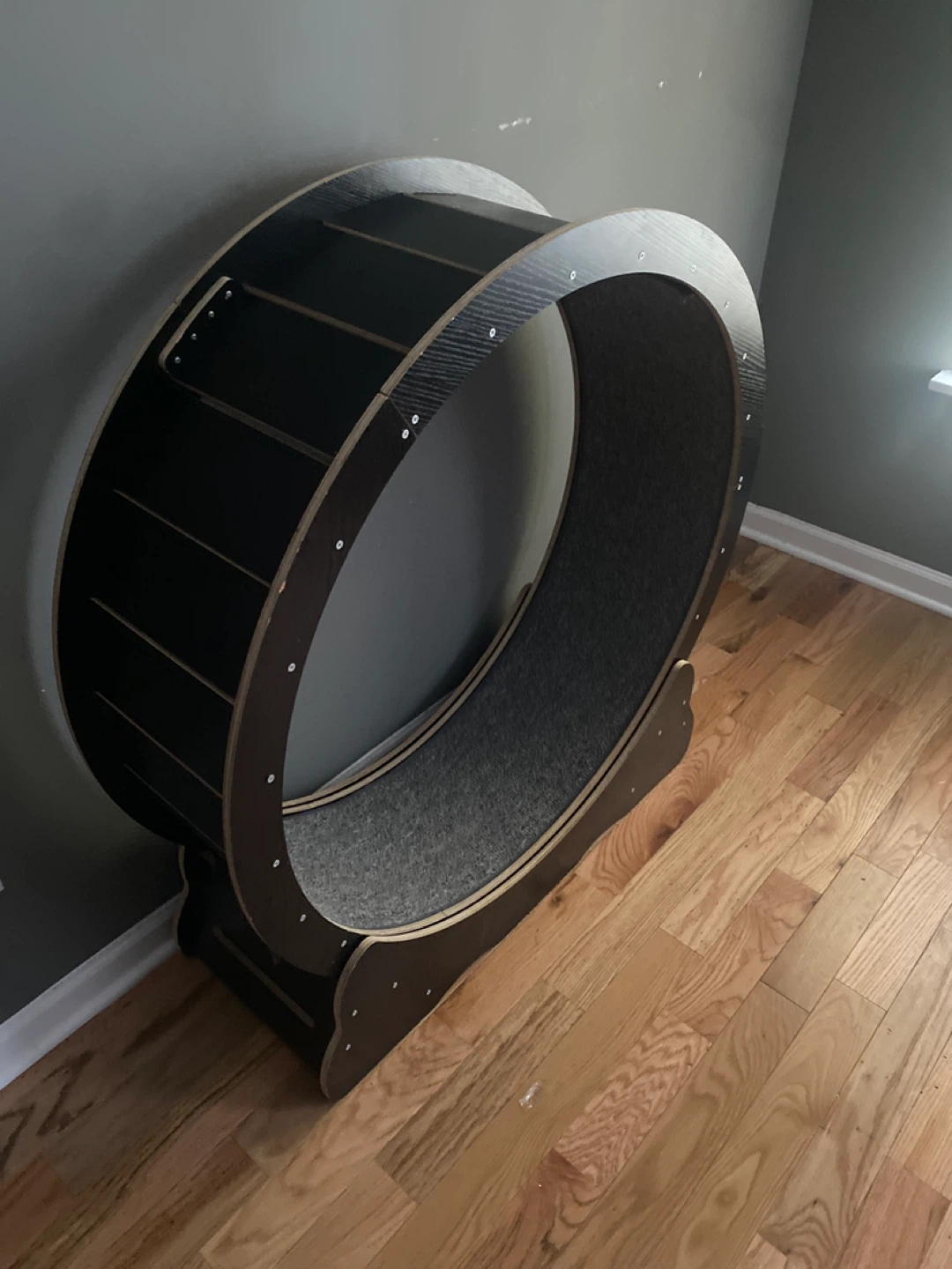 Cat Exercise Wheel - Black - photo 2
