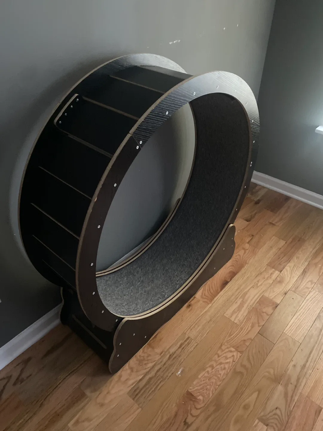 Cat Exercise Wheel - Black image indicator(2)