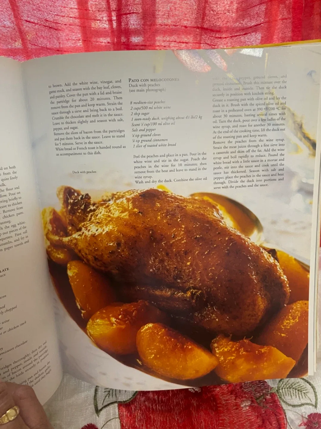 Culinaria Spain Cookbook image indicator(4)