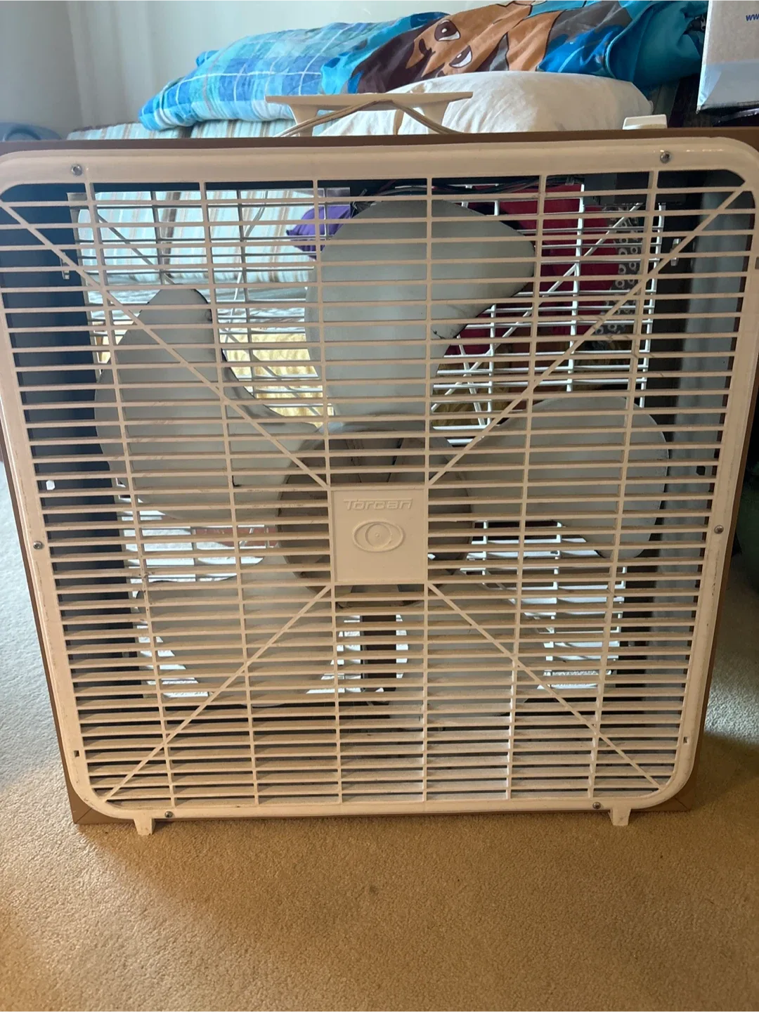 Floor  fan