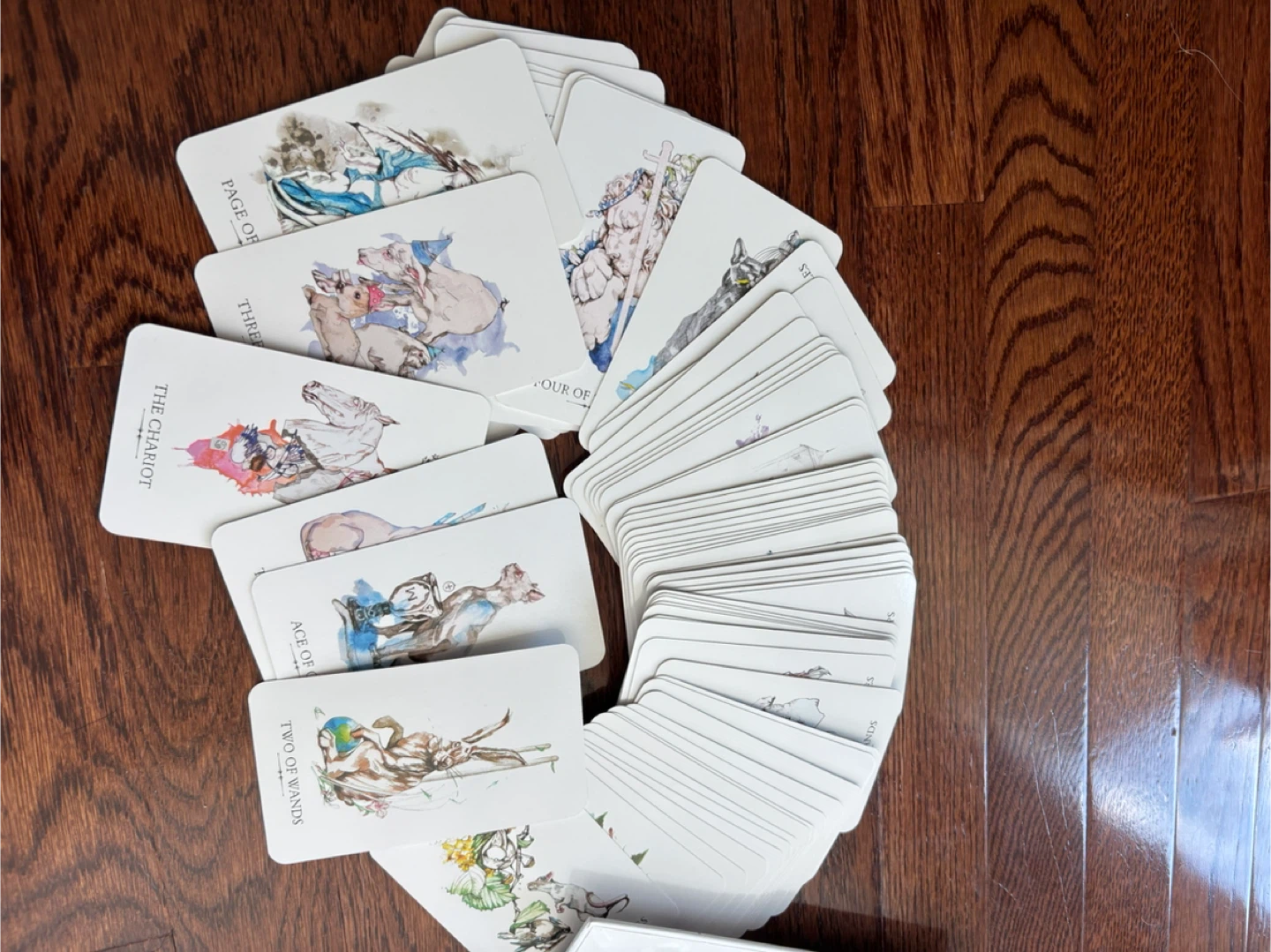The Linestrider Tarot Deck - photo 3