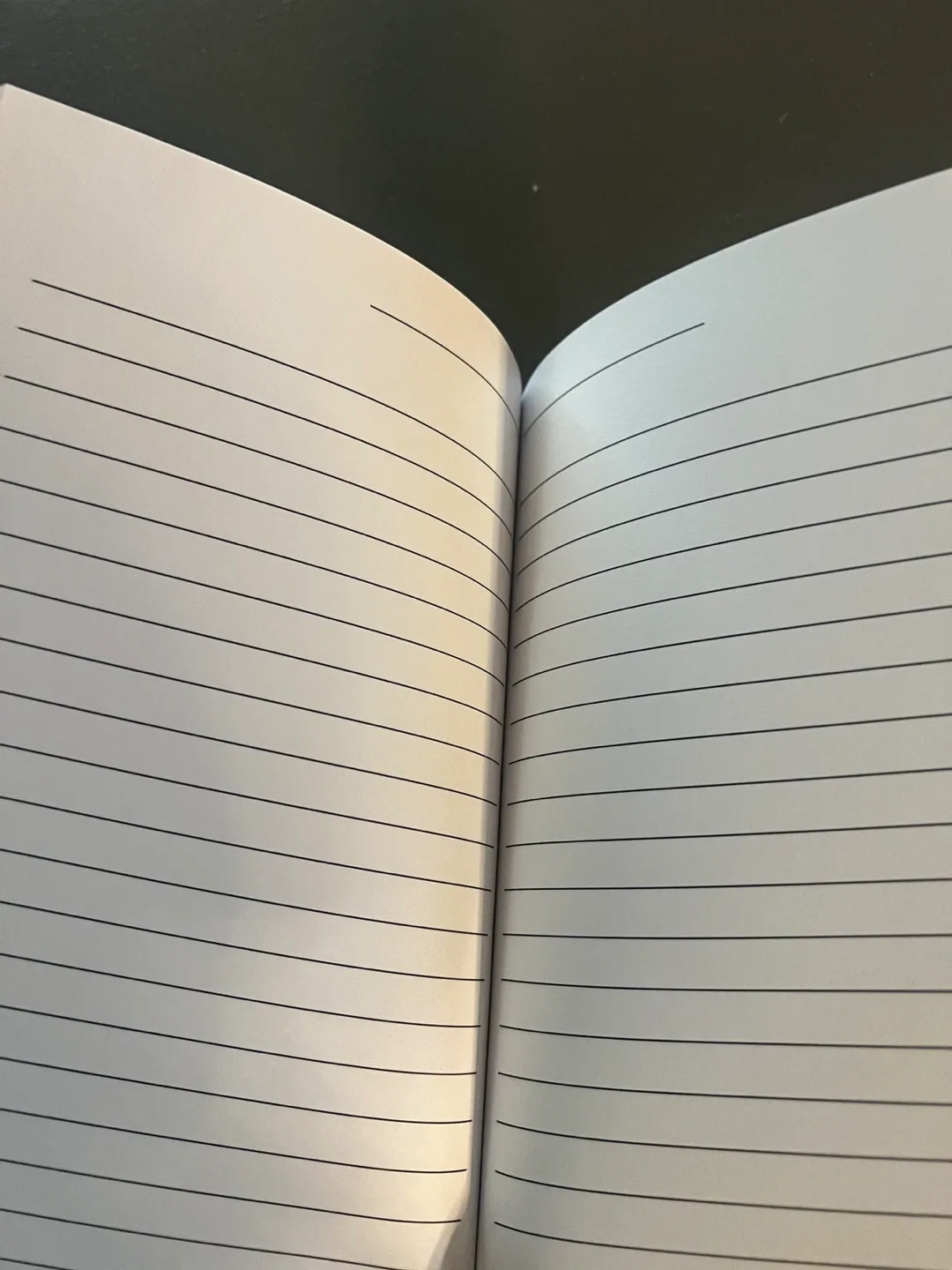 Pride Lined Notebook image indicator(2)