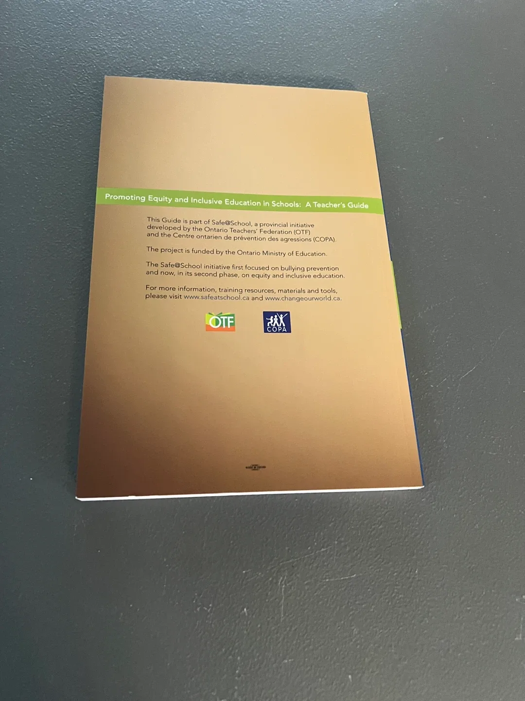 Promoting Equity in Inclusive Education Teacher's Guide image indicator(2)