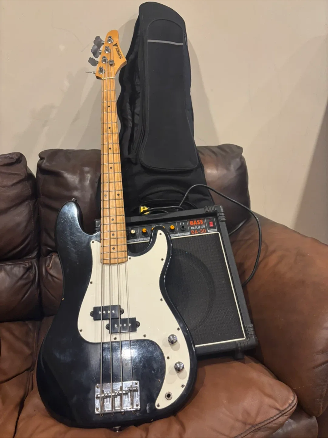Torres Bass Guitar & PSK Bass Amplifier BA-30