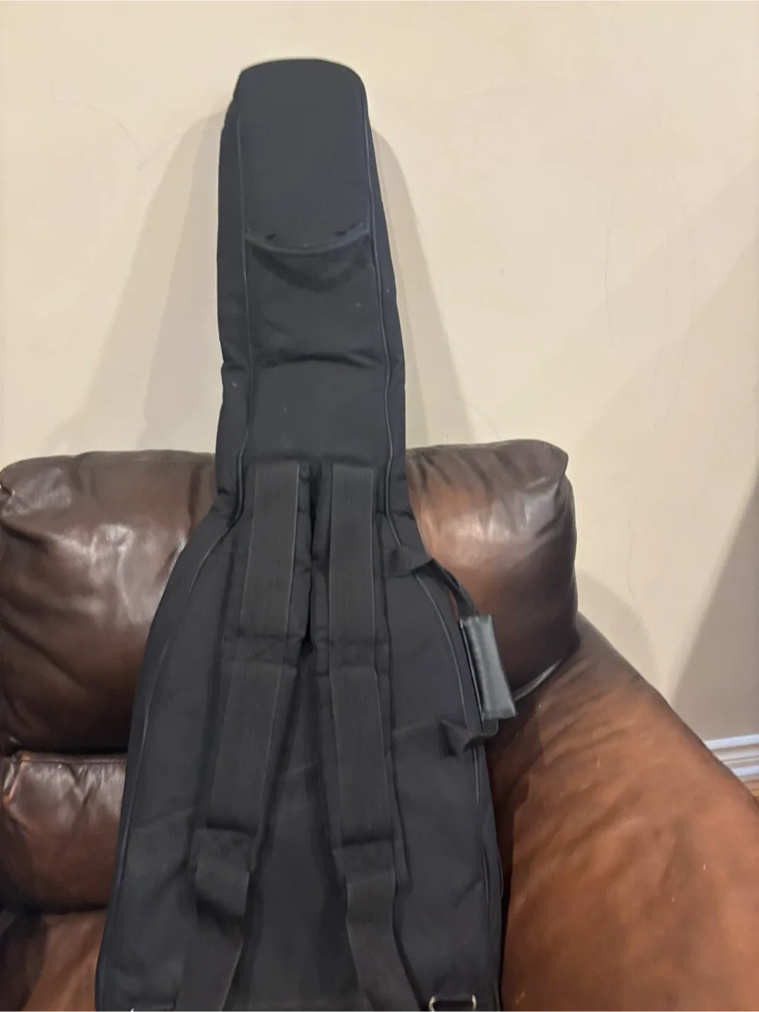 Torres Bass Guitar & PSK Bass Amplifier BA-30 image indicator(9)