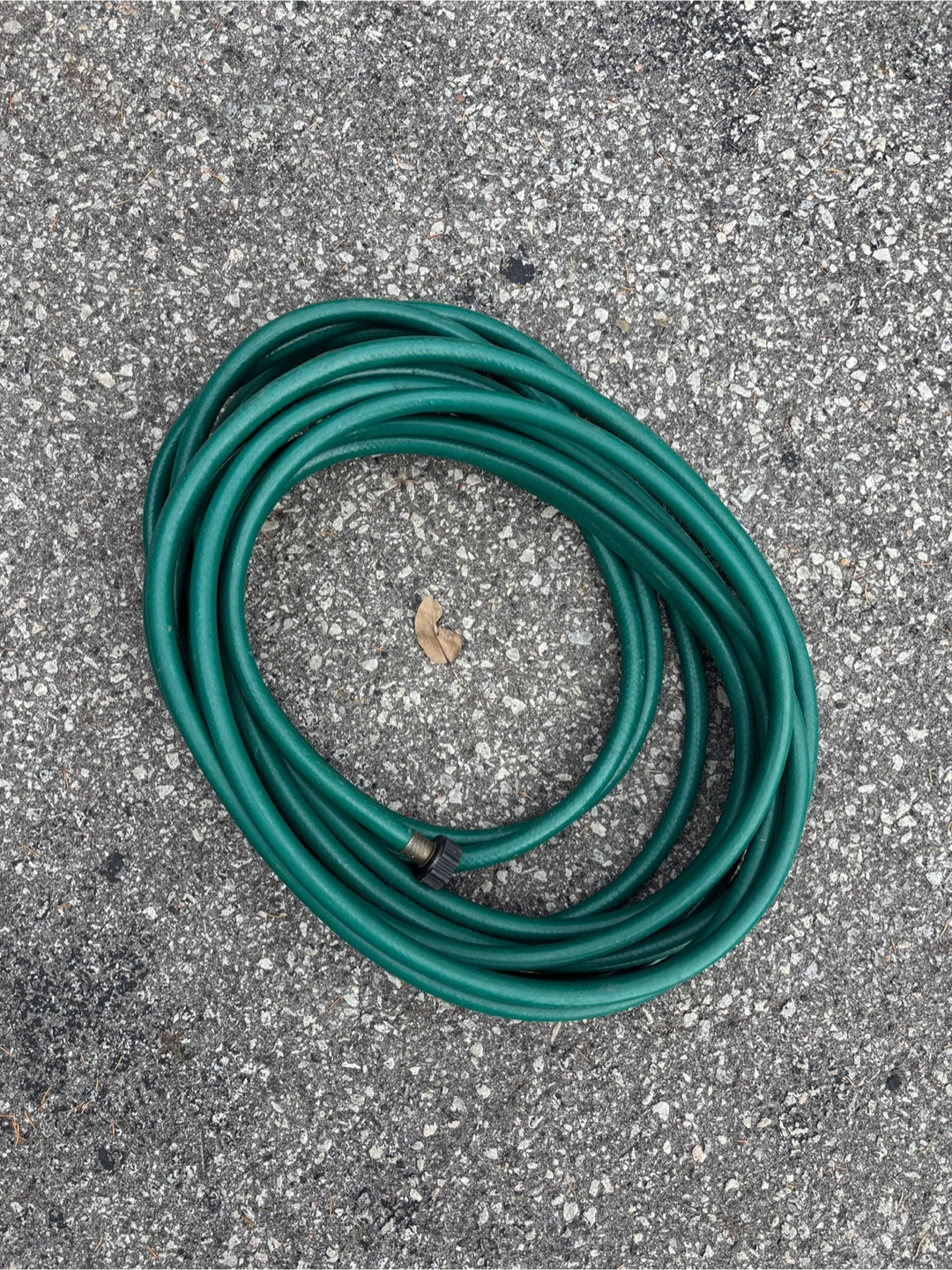 Green Garden Hose