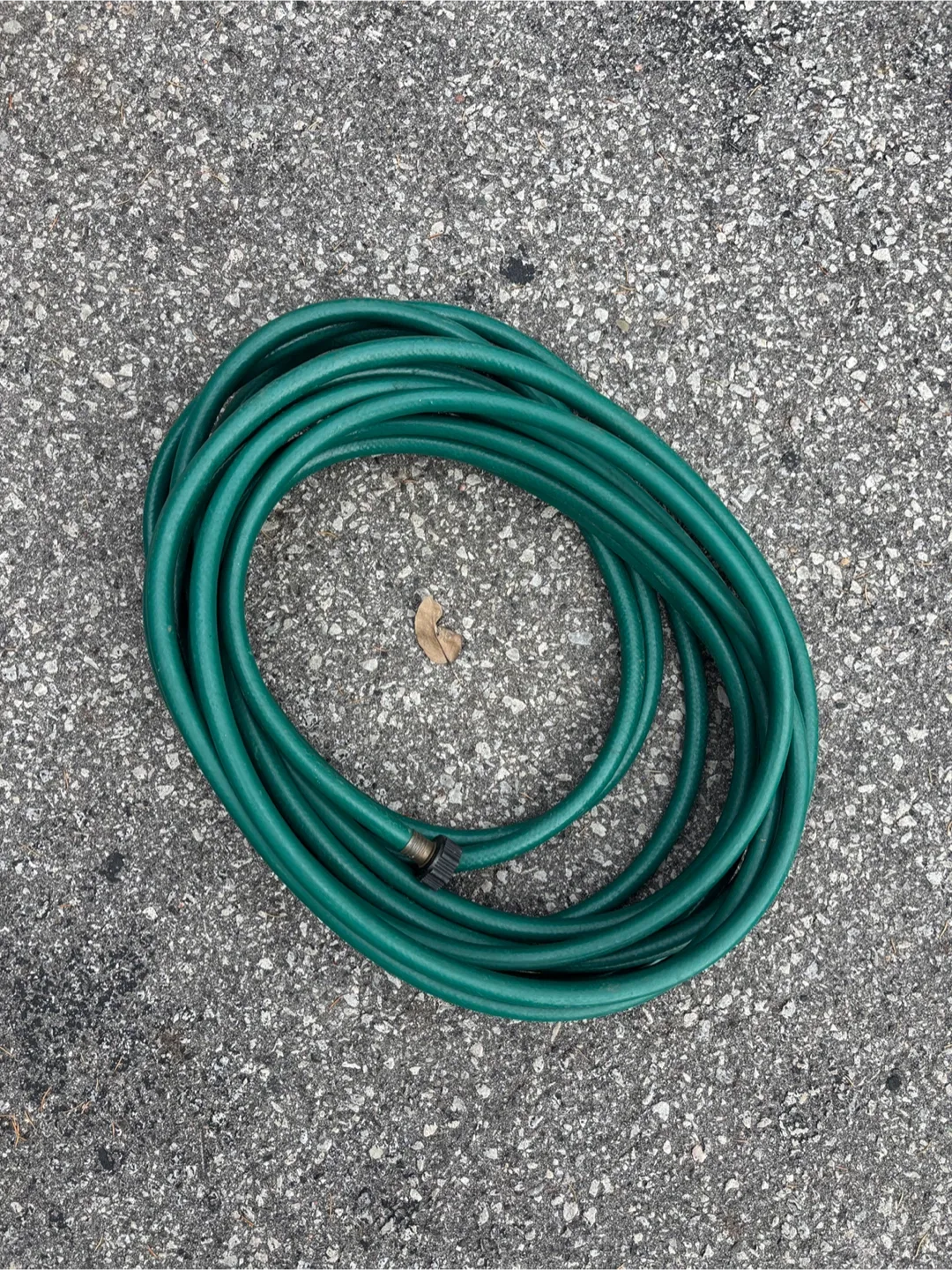 Green Garden Hose