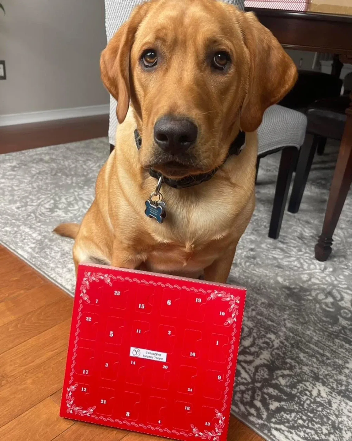 Tailwagging Healthy Treats Advent Calendar image indicator(3)