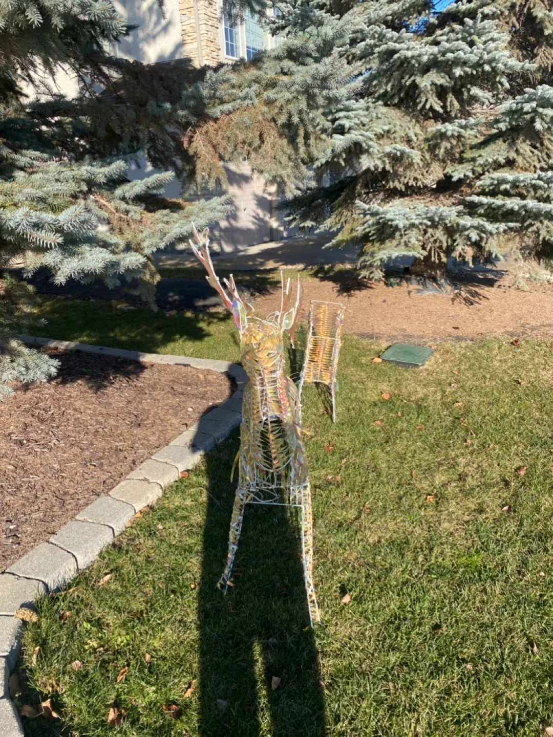 Christmas Decorations image indicator(5)