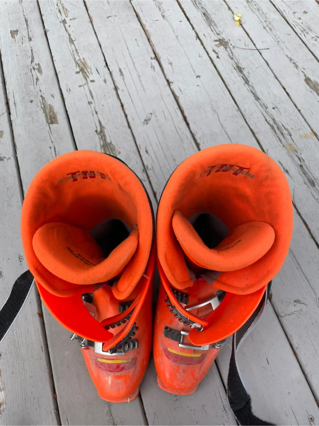 Ski Boots size 10.5 image indicator(3)