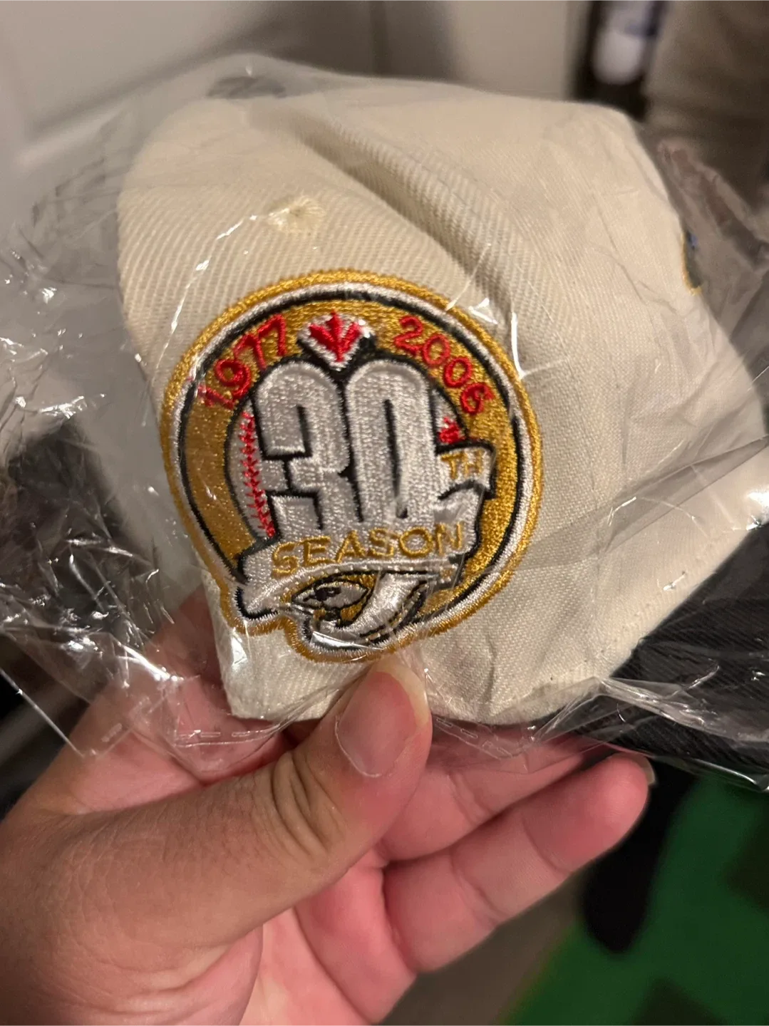 New Era Toronto Blue Jays 30th Season Hat image indicator(2)