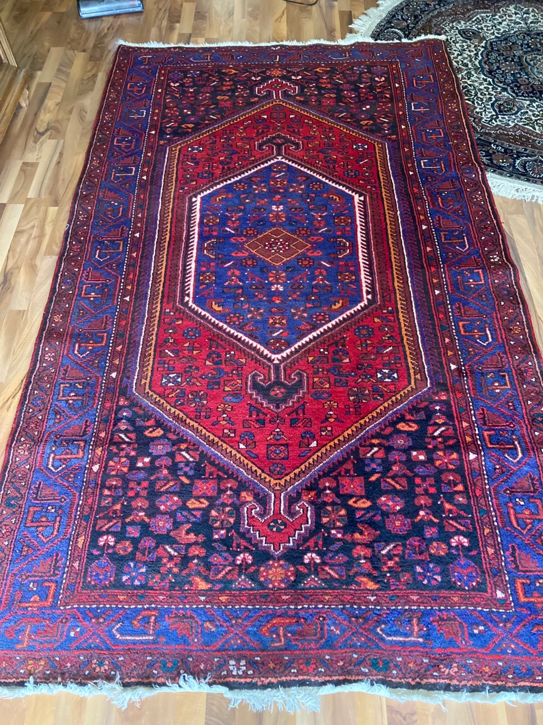 Red & Blue Area Rug
