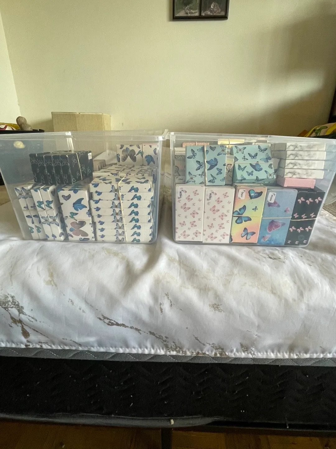 Variety of false strip Eyelash image indicator(2)