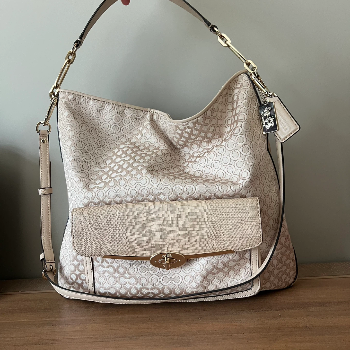 Coach Hobo Style Shoulder Bag