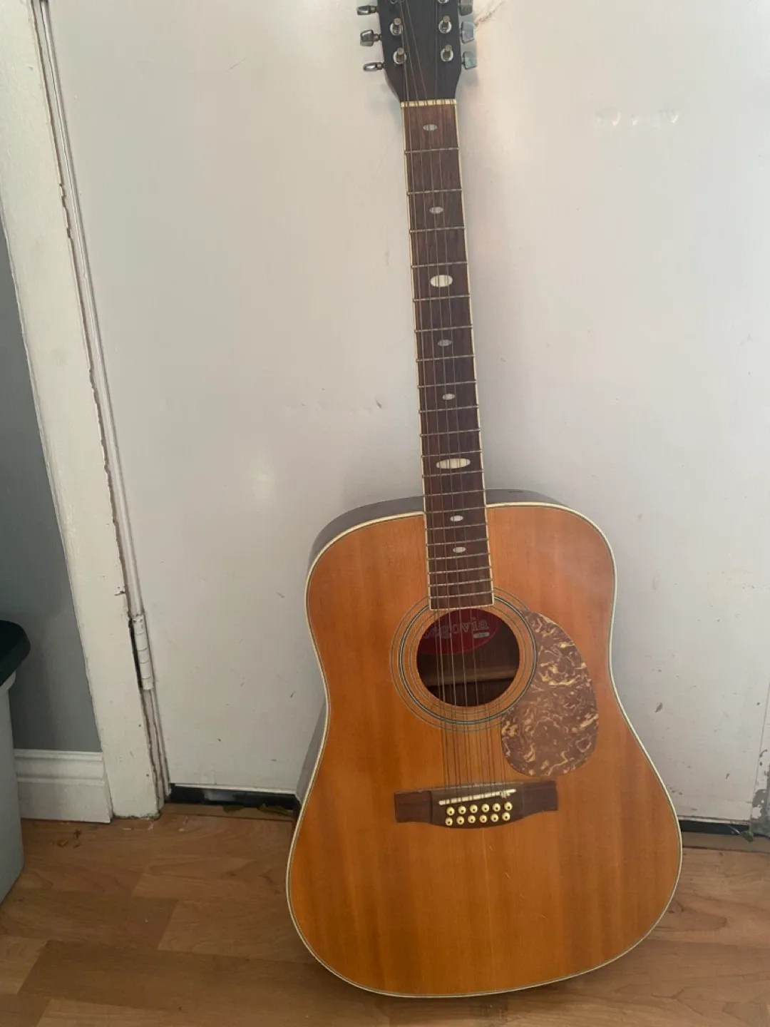 Segovia 12-String Acoustic Guitar