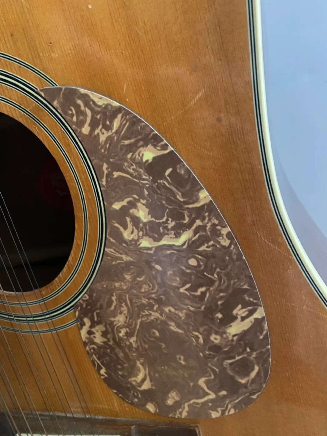 Segovia 12-String Acoustic Guitar image indicator(4)